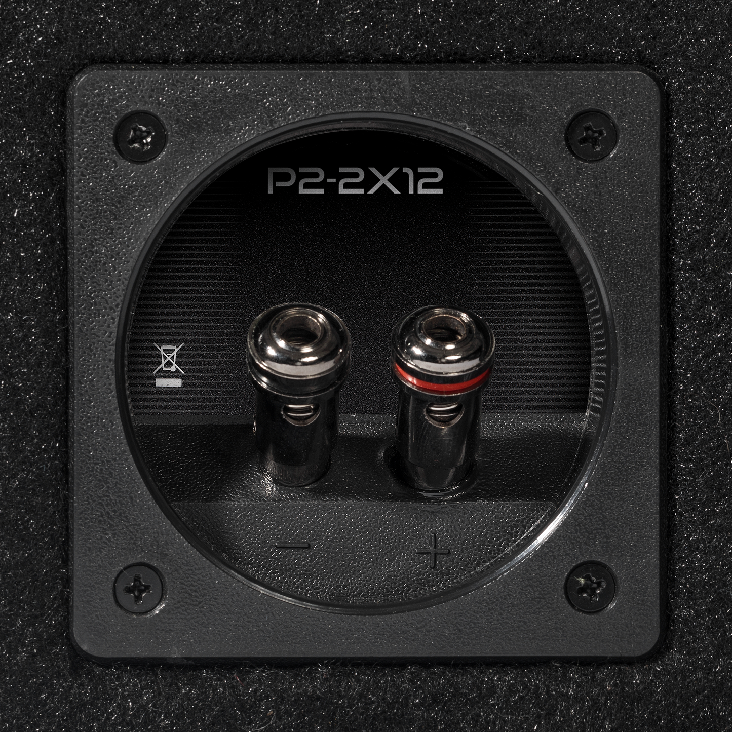 Caja cargada punch dual P2 de 12